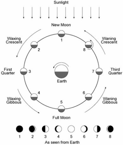 5) Moon Phases - Mr Brown's Science & Chemistry Page